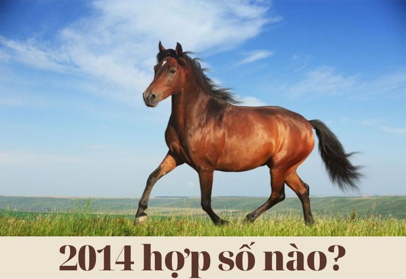 Năm 2014 phù hợp với con số nào?