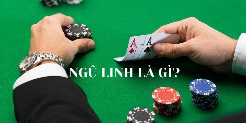 Five Spirits hay Blackjack, cái nào mạnh hơn? Tìm hiểu thêm